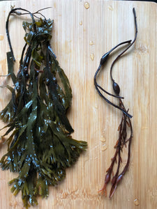 Sea Moss + Bladderwrack Gel [Wholesale Orders Only]