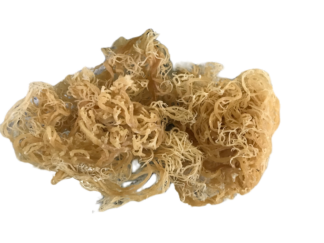 Organic Raw Sea Moss Gold