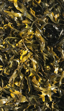Load image into Gallery viewer, Raw Whole-Leaf Bladderwrack