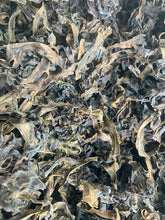 Load image into Gallery viewer, Raw Whole-Leaf Bladderwrack