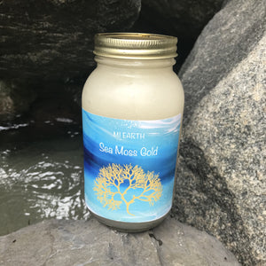 Sea Moss Gold Gel [Wholesale Orders Only]