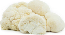 Cargar imagen en el visor de la galería, Sea Moss Powder with 14 Organic Mushrooms
