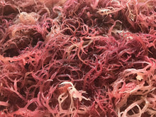 Cargar imagen en el visor de la galería, Dried Purple Sea Moss
