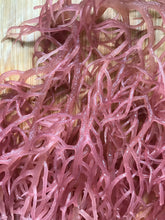 Cargar imagen en el visor de la galería, Purple Sea Moss Gel *[Wholesale Orders Only]*
